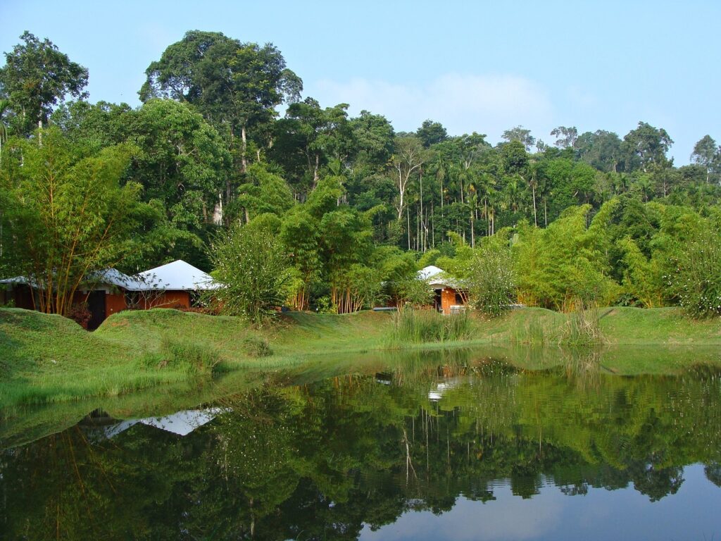 holiday home, resort, greenery, pond, reflection, kadkani, kodagu, coorg, karnataka, india, green home, coorg, coorg, coorg, coorg, coorg